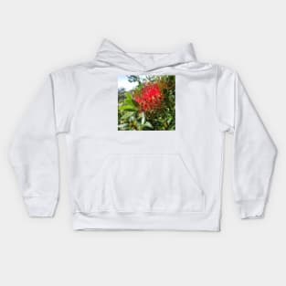 Bottlebrush Flower, photography by Immortal Peaches Kids Hoodie